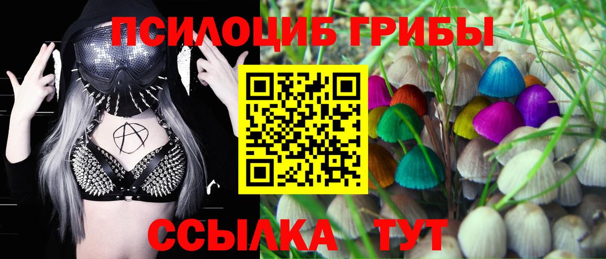 Жуковский  Галлюциногенные грибы MAGIC MUSHROOMS  Вход с VPN 